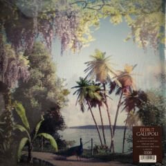 Beirut – Gallipoli LP