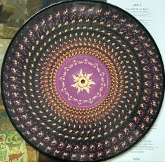 Songs From Tangled Soundtrack ( Rapunzel ) ( Special Edition, Zoetrope Vinyl ) LP
