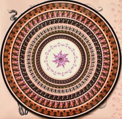 Songs From Tangled Soundtrack ( Rapunzel ) ( Special Edition, Zoetrope Vinyl ) LP