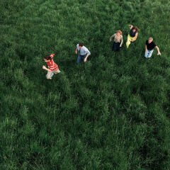 Parcels – LOVED LP