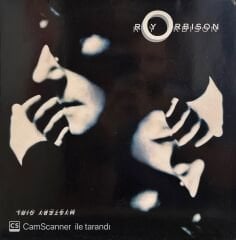 Roy Orbison – Mystery Girl LP