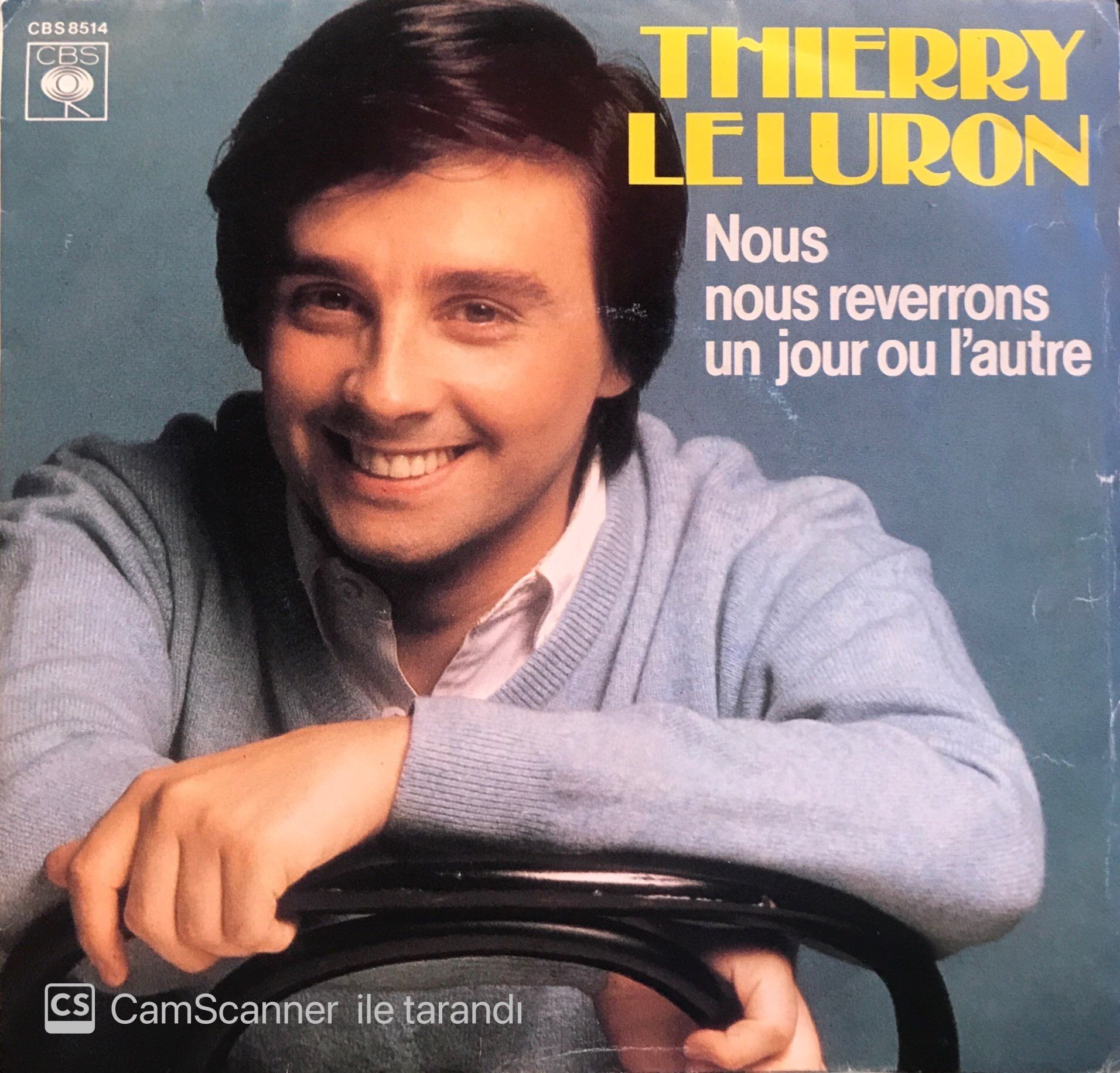 Thierry Le Luron - Nous Nous Reverrons Un Jour Ou L'autre / What I Did For Love 45'lik