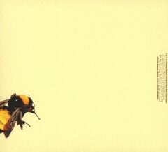 Tyler, The Creator - Scum Fuck Flower Boy CD