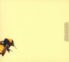 Tyler, The Creator - Scum Fuck Flower Boy CD