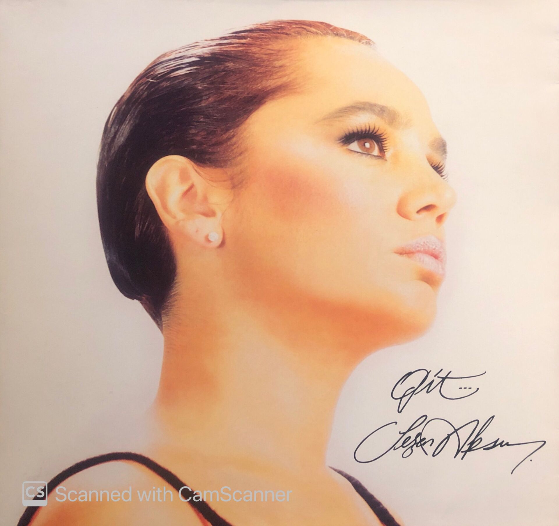 Sezen Aksu – Git... LP