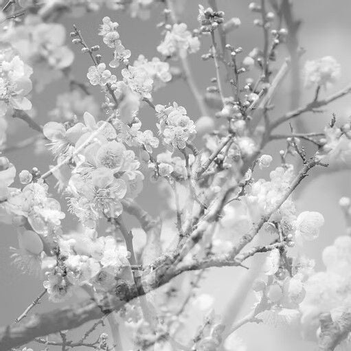 Masabumi Kikuchi – Hanamichi - The Final Studio Recording Vol. II LP