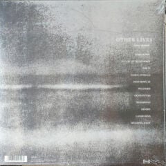 Other Lives – Tamer Animals ( Limited Edition, Pink ) LP