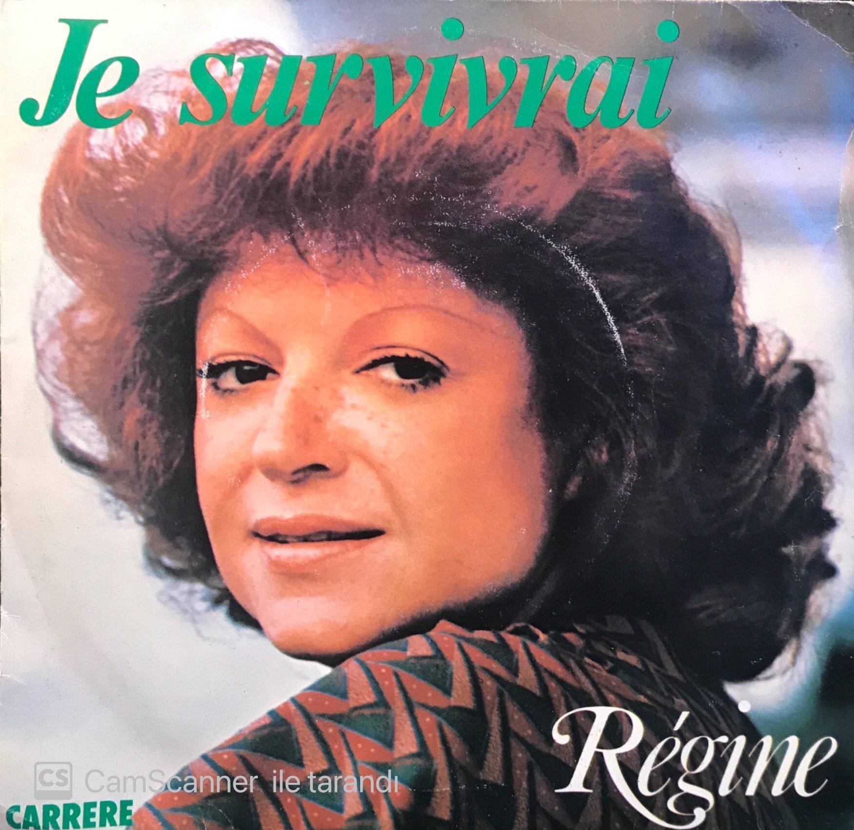 Regine - Je Survivrai / Never Stop Dancing 45'lik
