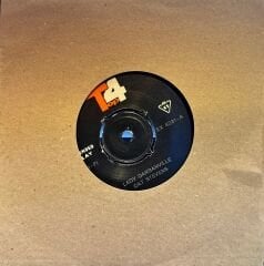 Cat Stevens - Lady Darbanville / Time Fill My Eyes 45lik