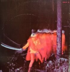 Black Sabbath – Paranoid LP ( Vertigo baskı )