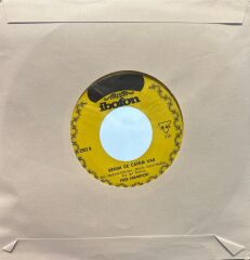 Neşe Karaböcek - Bana Çok Mu Görüyorsun / Benim de Canım Var 45'lilk ( İbofon )