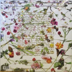 Prince And The Revolution – Purple Rain LP