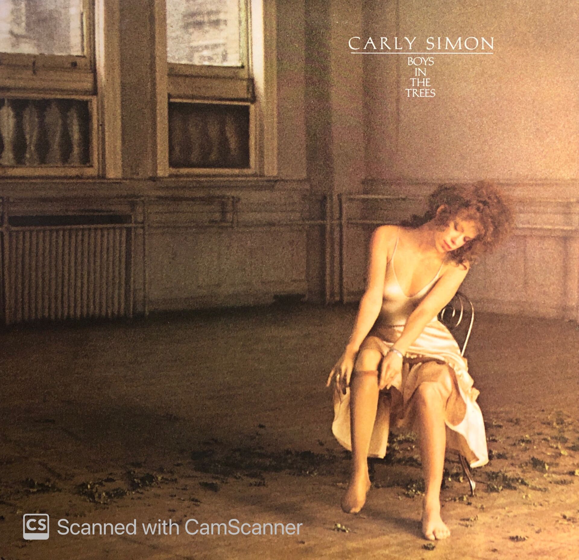 Carly Simon – Boys In The Trees LP