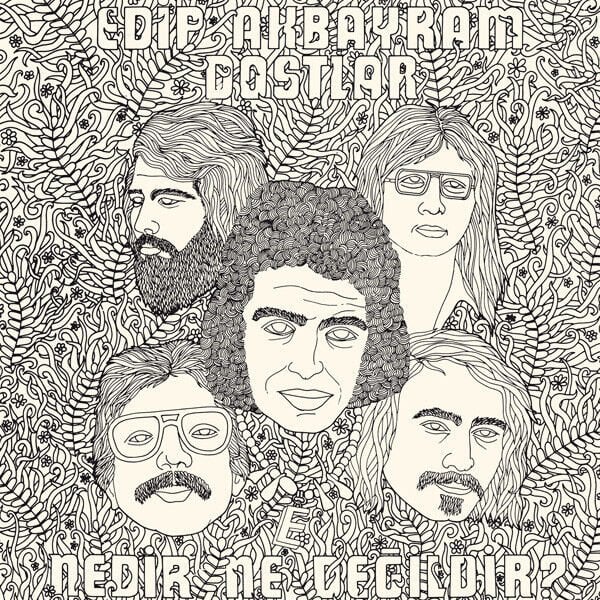 Edip Akbayram, Dostlar – Nedir Ne Değildir? LP