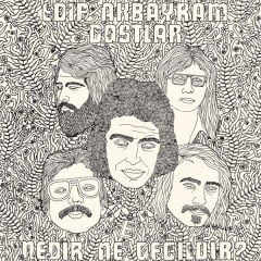 Edip Akbayram, Dostlar – Nedir Ne Değildir? LP