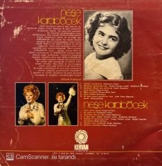 Neşe Karaböcek - Duydum ki Unutmuşsun LP