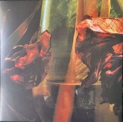 Hayvanlar Alemi – Psychedelia in Times of Turbulence LP