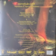 Hayvanlar Alemi – Psychedelia in Times of Turbulence LP