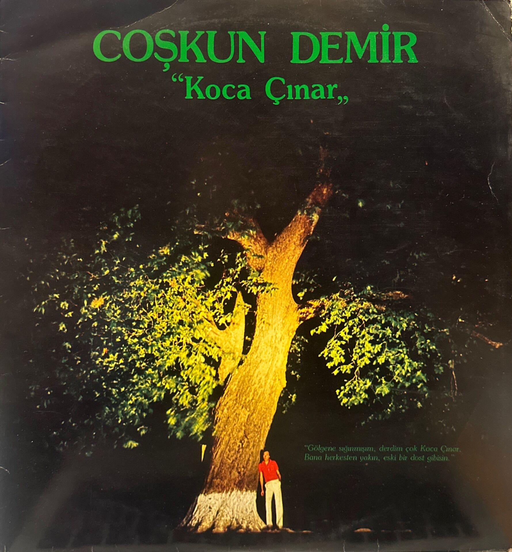 Coşkun Demir – Koca Çınar LP