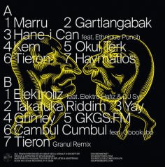 Grup Ses, Gökalp K. – Grup Ses & Gökalp K. LP