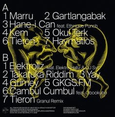 Grup Ses, Gökalp K. – Grup Ses & Gökalp K. LP