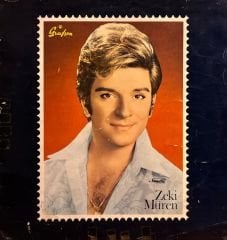 Zeki Müren - Sarmaşık Gülleri LP ( Grafson )
