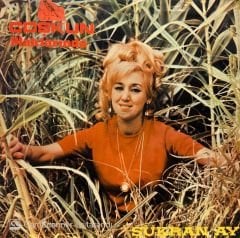 Şükran Ay – Ağlatan Plak LP