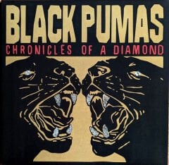 Black Pumas – Chronicles Of A Diamond LP ( Clear Vinyl )