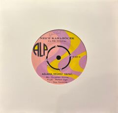 Neşe Karaböcek - Artık Sevmeyeceğim / Ağlama Değmez Hayat 45'lik