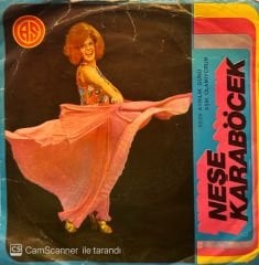 Neşe Karaböcek  - Ayrılık Günü / Aşık Olamıyorum 45'lik