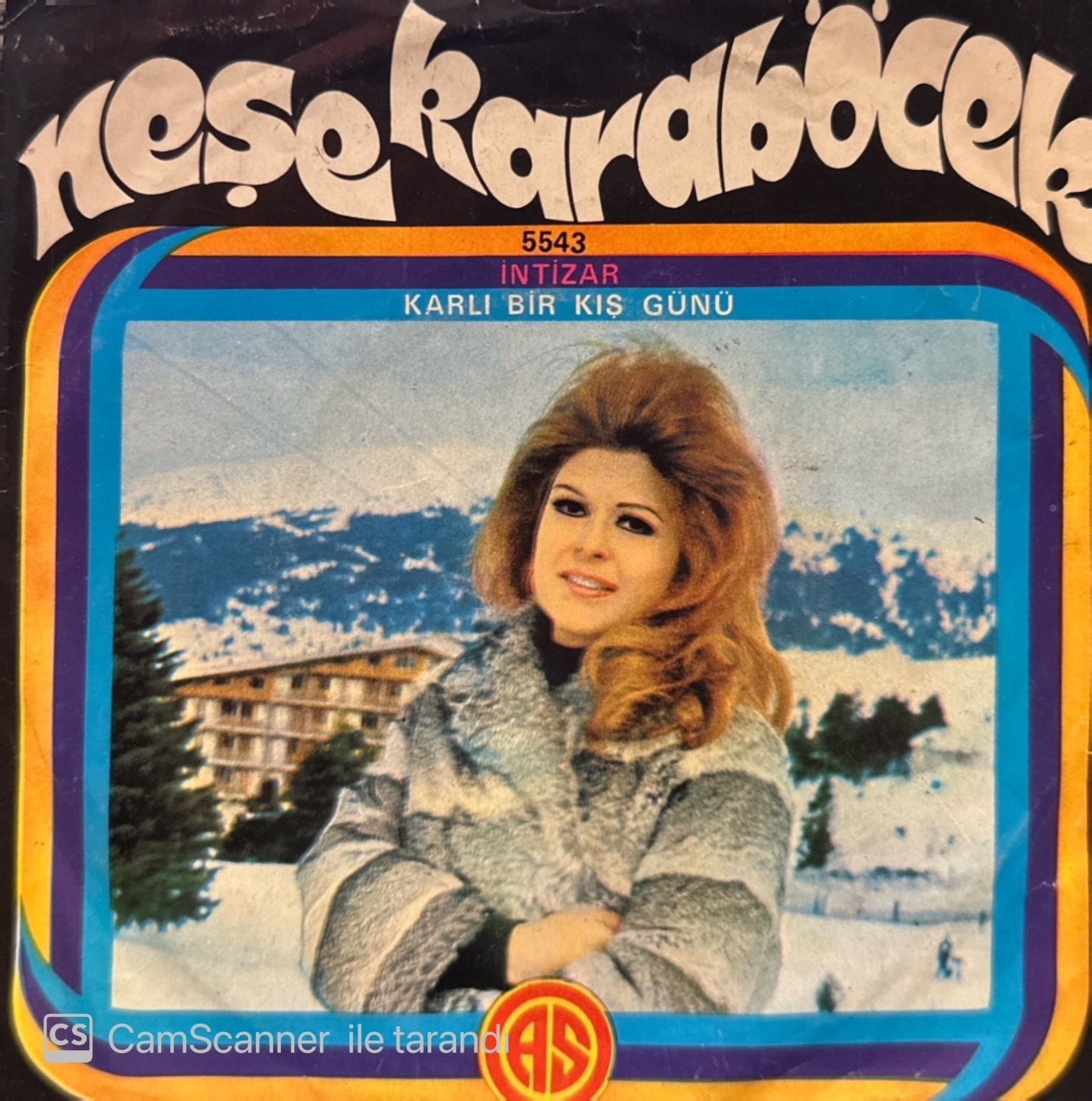 Neşe Karaböcek - İntizar / Karlı Bir Kış Günü 45'lik
