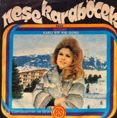 Neşe Karaböcek - İntizar / Karlı Bir Kış Günü 45'lik