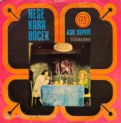 Neşe Karaböcek - İntizar / Karlı Bir Kış Günü 45'lik