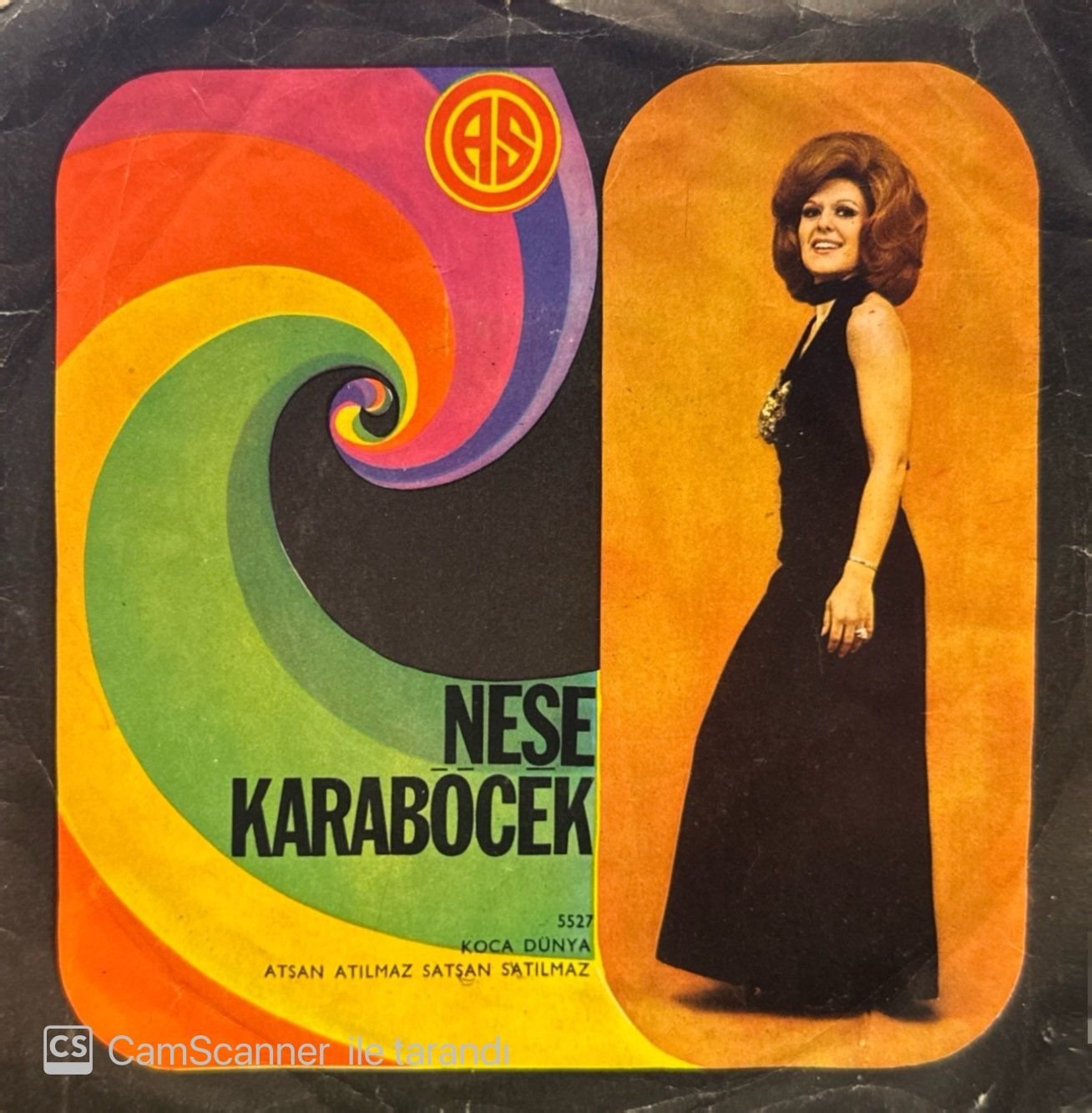 Neşe Karaböcek- Koca Dünya / Atsan Atılmaz Satsan Satılmaz 45'lik