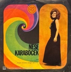 Neşe Karaböcek- Koca Dünya / Atsan Atılmaz Satsan Satılmaz 45'lik