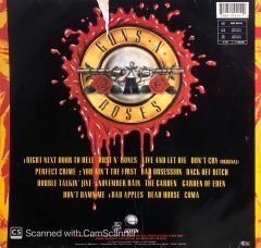 Guns N' Roses – Use Your Illusion I LP
