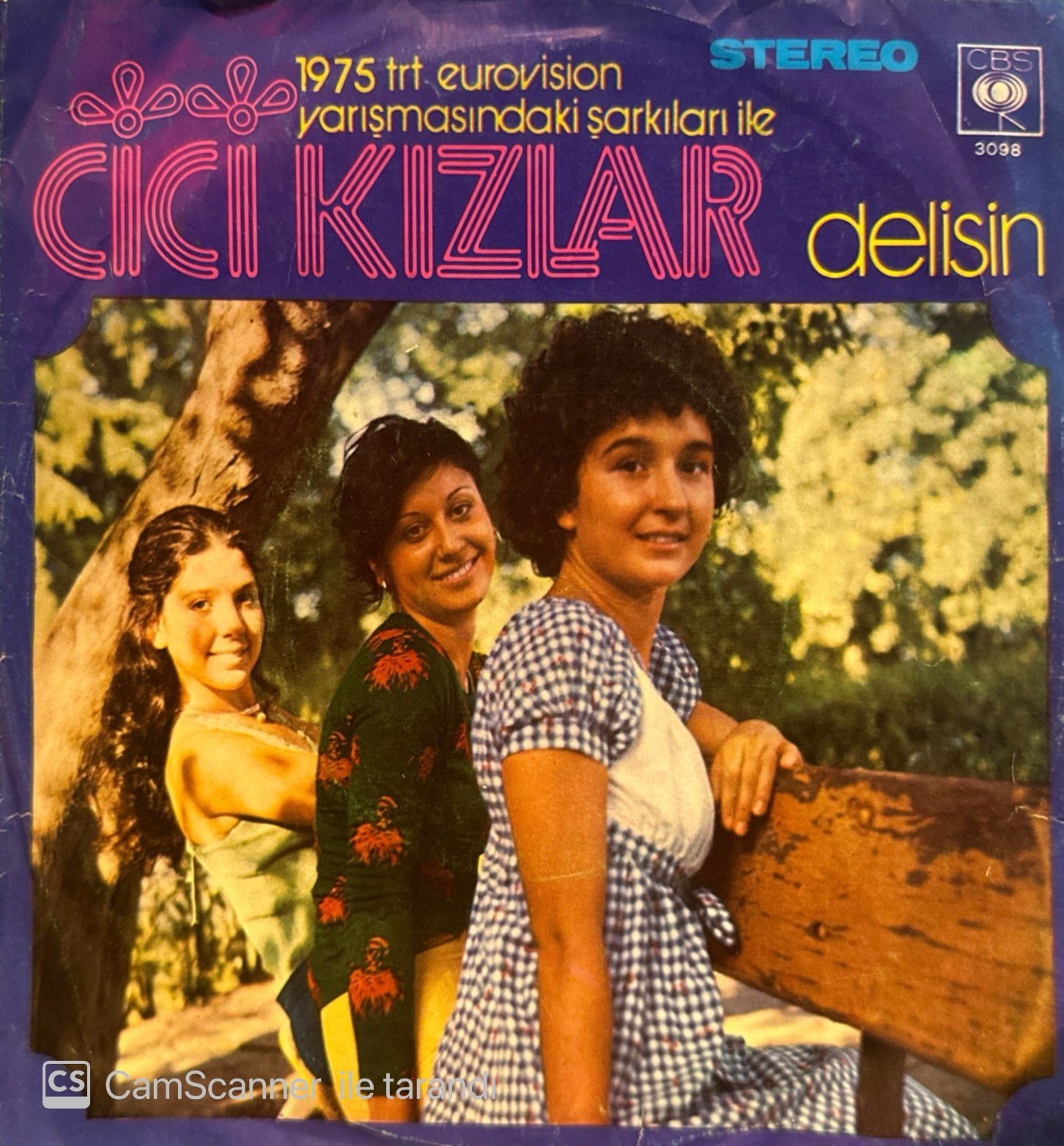 Cici Kızlar - Delisin / Rengarenk 45'lik