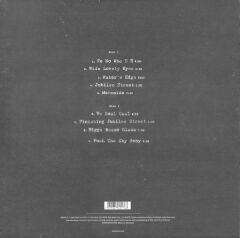 Nick Cave & The Bad Seeds – Push The Sky Away LP