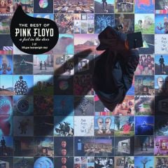 The Best Of Pink Floyd - A Foot In The Door LP
