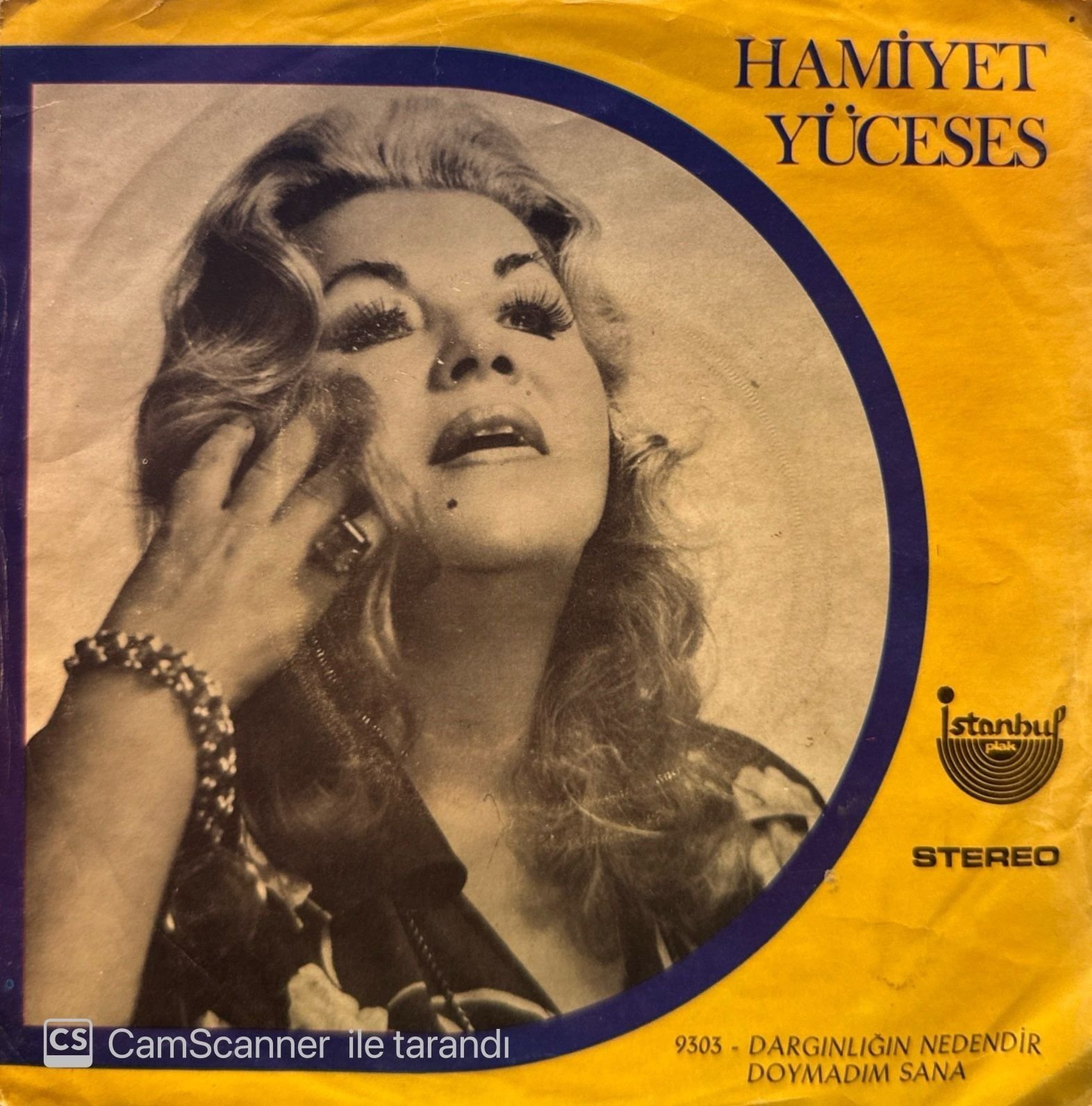 Hamiyet Yüceses - Dargınlığın Nedendir / Doymadım Sana 45'lik