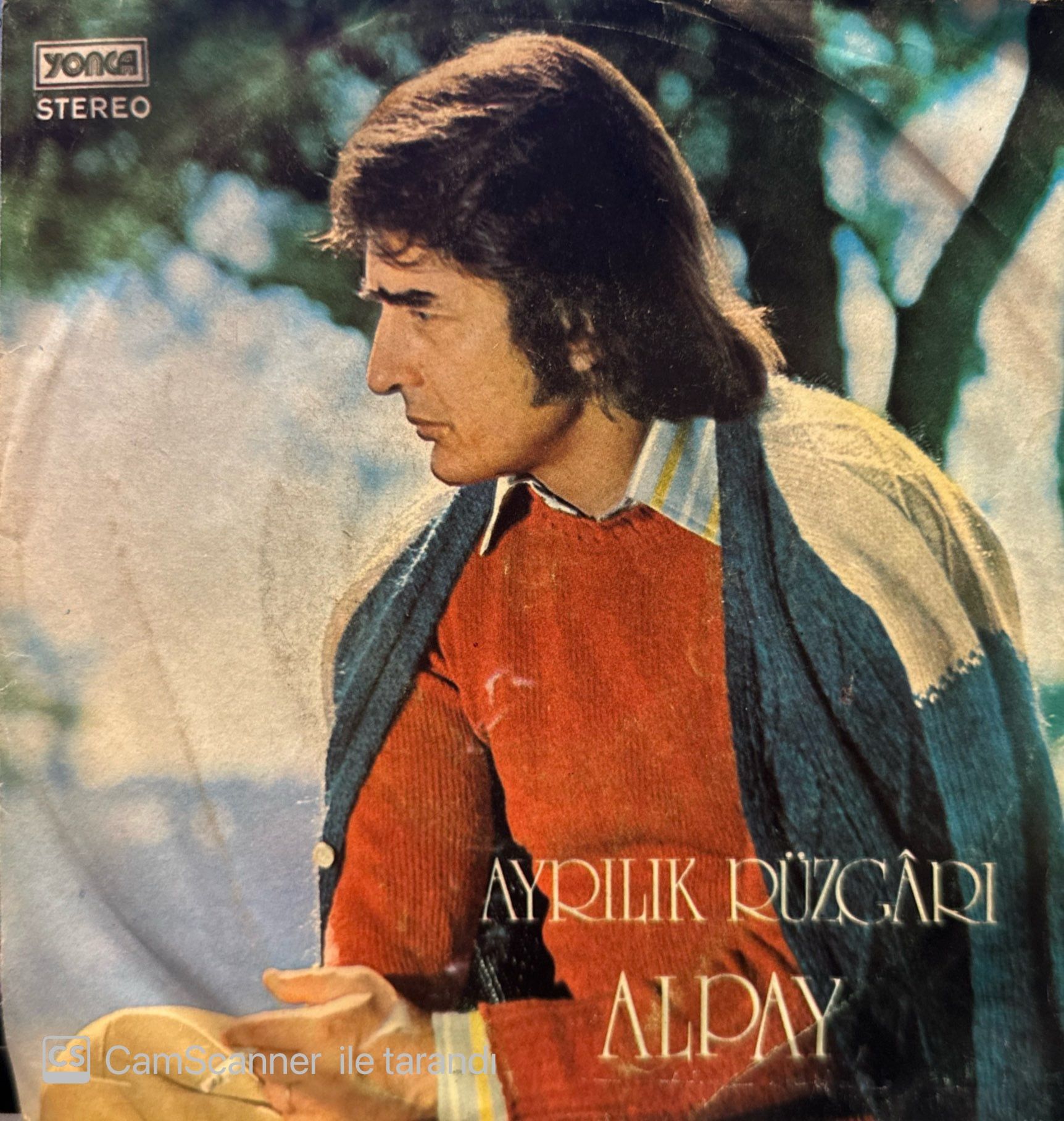 Alpay - Ayrılık Rüzgarı / Mecnun Derlerdi 45'lik