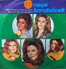 Neşe Karaböcek - Pişman Olur da Bir Gün /  Elbet Bir Gün Buluşacağız LP