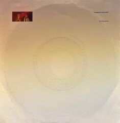 Pet Shop Boys – Always On My Mind / Do I Have To? 45'lik