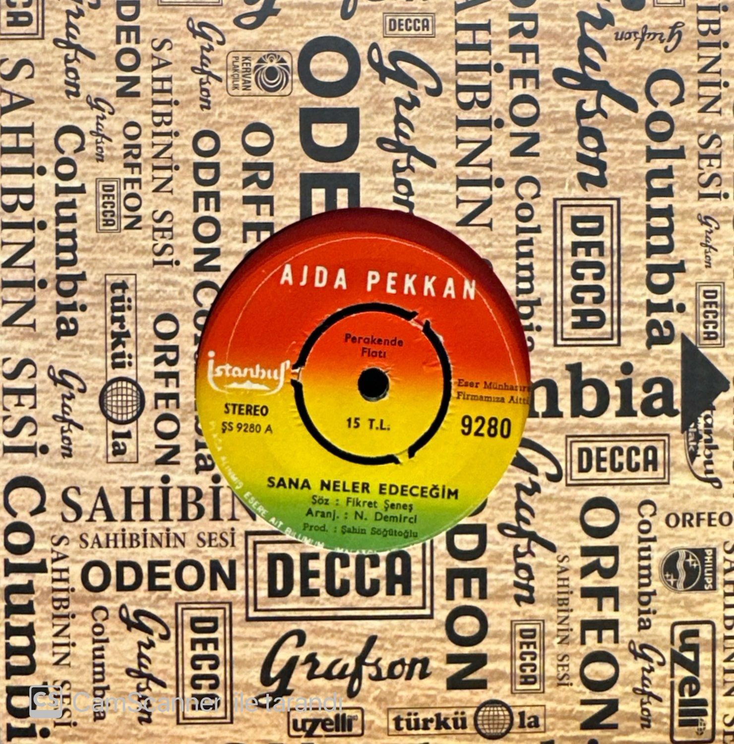 Ajda Pekkan - Sana Neler Edeceğim / Haram Olsun Bu Aşk Sana 45'lik