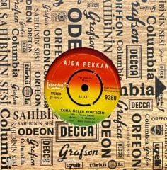 Ajda Pekkan - Sana Neler Edeceğim / Haram Olsun Bu Aşk Sana 45'lik