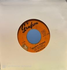 Zeki Müren - Viraneye Dönmüş / Zennobe 45'lik