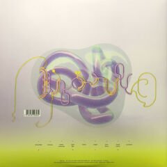 Björk – Vulnicura LP