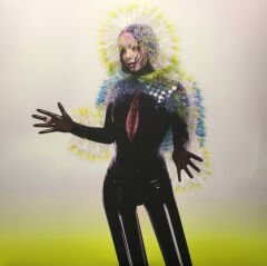 Björk – Vulnicura LP