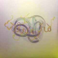 Björk – Vulnicura LP