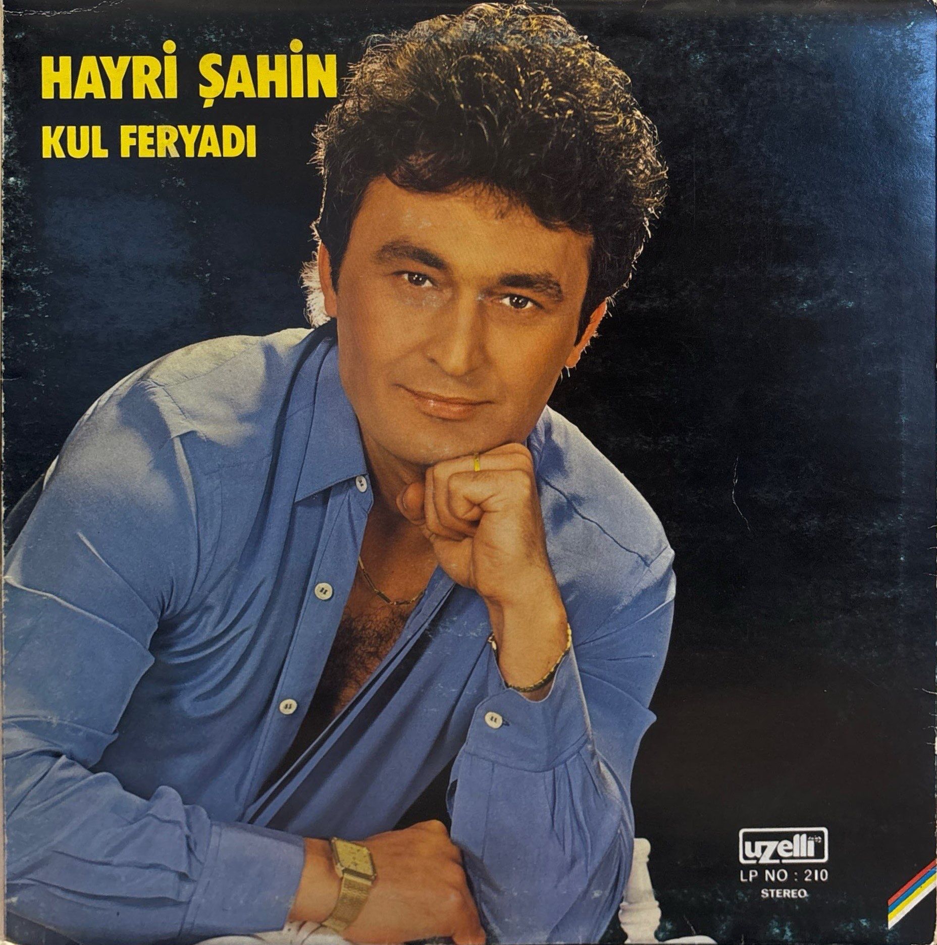 Hayri Şahin – Kul Feryadı LP